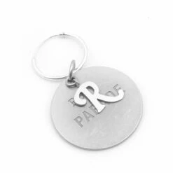 Raf Simons RS Parade Silver Medallion Earring In Silver