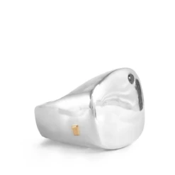 Rosa Maria Laetitia Black Diamond Signet Ring In Silver